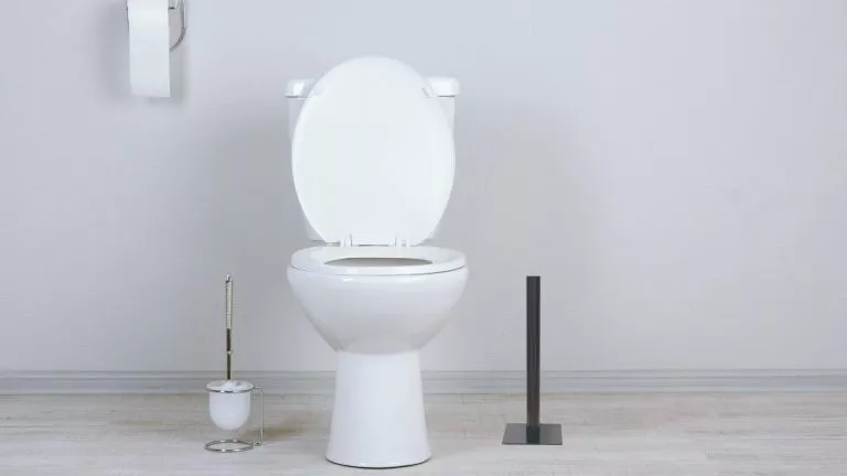 The PoopSTICK in black next to toilet. Closed