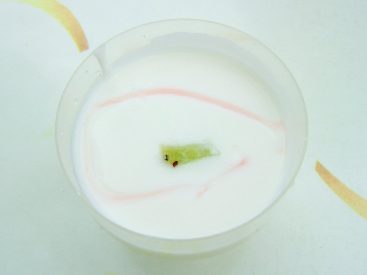 poop friendly - yogurt
