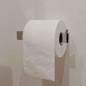Toilet paper on a chrome holder, neutral background